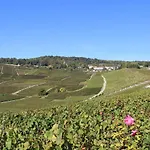 Le Cocon A Escapade Romantique & Degustation De Champagne Ay-Champagne