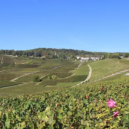 Le Cocon A Escapade Romantique & Degustation De Champagne Ay-Champagne