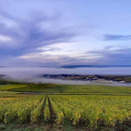 Le Cocon Proche Epernay Et Maisons De Champagne Apartament Ay-Champagne