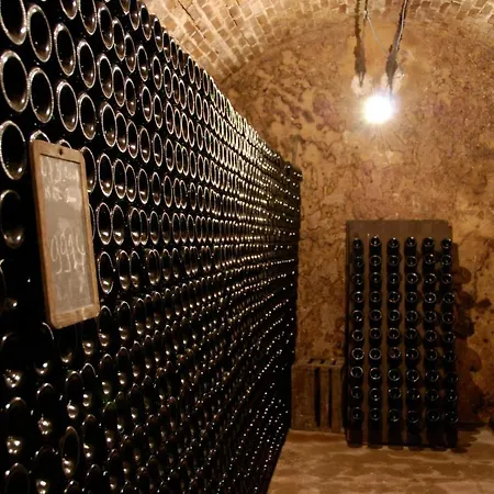 Le Cocon Proche Epernay Et Maisons De Champagne Apartament *