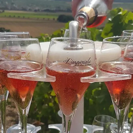 Le Cocon A Escapade Romantique & Degustation De Champagne * Ay-Champagne