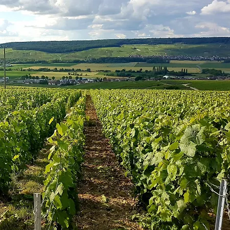 Le Cocon Proche Epernay Et Maisons De Champagne Ay-Champagne