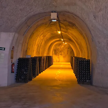 Le Cocon A Escapade Romantique & Degustation De Champagne Ay-Champagne