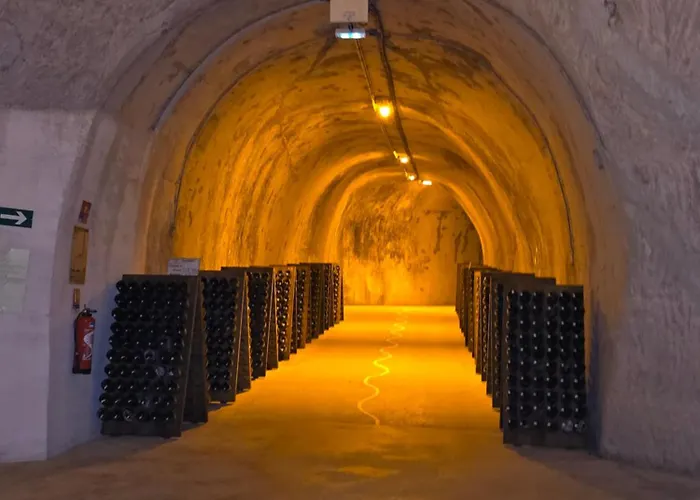 Le Cocon A Escapade Romantique & Degustation De Champagne Ay-Champagne